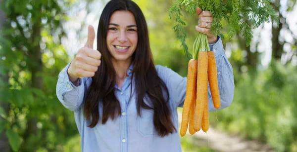 Gadis muda cantik memegang wortel bersih di tangan, di latar belakang alam. Konsep: biologi, produk bio, bioekologi, tumbuh sayuran, produk alami murni dan segar, vegetarian, sehat — Stok Foto