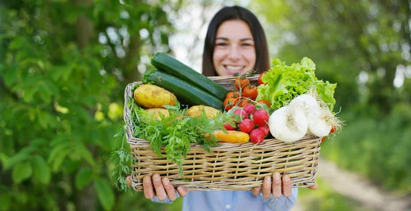 Hermosa joven sosteniendo una cesta de verduras, en el fondo de la naturaleza. Concepto: biología, bio-productos, bio-ecología, cultivar verduras, productos naturales puros y frescos, vegetarianos, saludables . — Foto de Stock