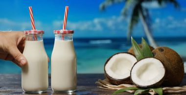  Besleyici taze hindistan cevizi