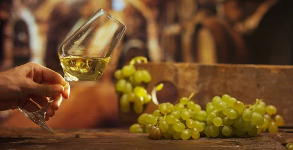 Sommelier en bodega — Foto de Stock