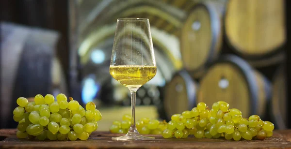 Sommelier w piwnicy winiarskiej — Zdjęcie stockowe