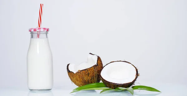 Свежий питательный кокос — стоковое фото