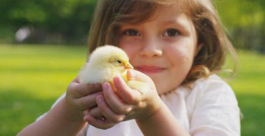 Hayat, en güzel kız, en iyi anları kavramı Park yeşil çim ve ağaçların, arka plan üzerinde küçük chickens(yellow) ile çalış: çocuk, aşk, ekoloji, çevre, gençlik.