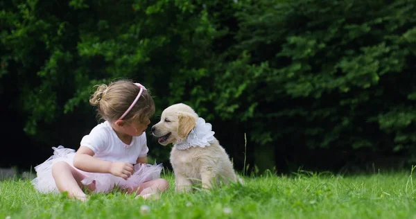 Lente op een zonnige dag een beetje meisje en een Golden Retriever pup spelen in een groene en bloemrijke tuin en geven kussen met liefde lachende, in slow motion — Stockfoto