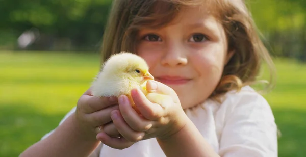 The best moments from life, the sweet girls, plays in the park with little chickens(yellow), on the background of green grass and trees, the concept: children, love, ecology, environment, youth. — Stock Photo, Image