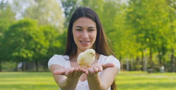En un día soleado, sonriente joven hermosa niña sosteniendo un pequeño pollo amarillo en las manos, en el fondo de la hierba verde y los árboles, concepto: medio ambiente, amor, ecología, joven, hermosa naturaleza . — Foto de Stock