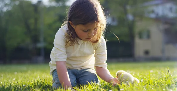 Os melhores momentos da vida, as meninas doces, brinca no parque com galinhas pequenas (amarelo), no fundo de grama verde e árvores, o conceito: crianças, amor, ecologia, meio ambiente, juventude . — Fotografia de Stock