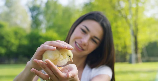 In una giornata di sole, sorridente giovane bella ragazza che tiene un piccolo pollo giallo nelle mani, sullo sfondo di erba verde e alberi, concetto: ambiente, amore, ecologia, giovane ragazza, bella natura . — Foto Stock