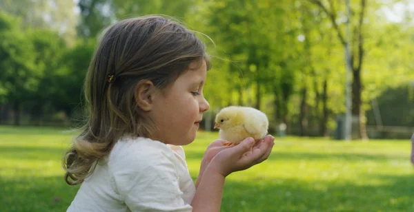 De beste momenten uit het leven, de lieve meisjes, speelt in het park met kleine chickens(yellow), op de achtergrond van het groene gras en bomen, het concept: kinderen, liefde, ecologie, milieu, jeugd. — Stockfoto