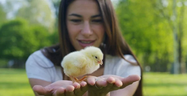 On a sunny day, smiling young beautiful girl holding a small yellow chicken in the hands, in the background of green grass and trees, concept: environment, love, ecology, young girl, beautiful nature.
