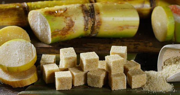 A macro shot of a composition of sugar cane, sugar cubes and sugar in the raw granules. Concept: a sweetener, nature, energy, juices and drinks. — Stock Photo, Image