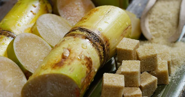 Macro shot di una composizione di canna da zucchero, cubetti di zucchero e zucchero nei granuli grezzi. Concetto: dolcificante, natura, energia, succhi e bevande . — Foto Stock