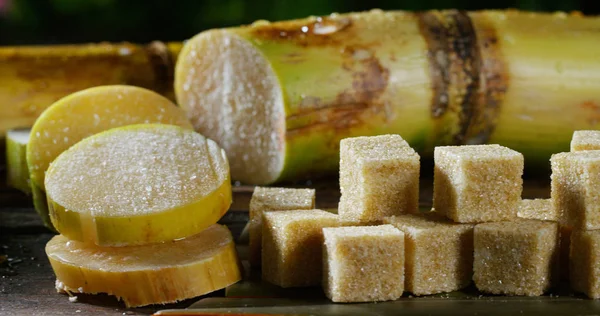 Macro shot di una composizione di canna da zucchero, cubetti di zucchero e zucchero nei granuli grezzi. Concetto: dolcificante, natura, energia, succhi e bevande . — Foto Stock