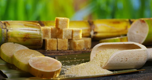 A macro shot of a composition of sugar cane, sugar cubes and sugar in the raw granules. Concept: a sweetener, nature, energy, juices and drinks. — Stock Photo, Image