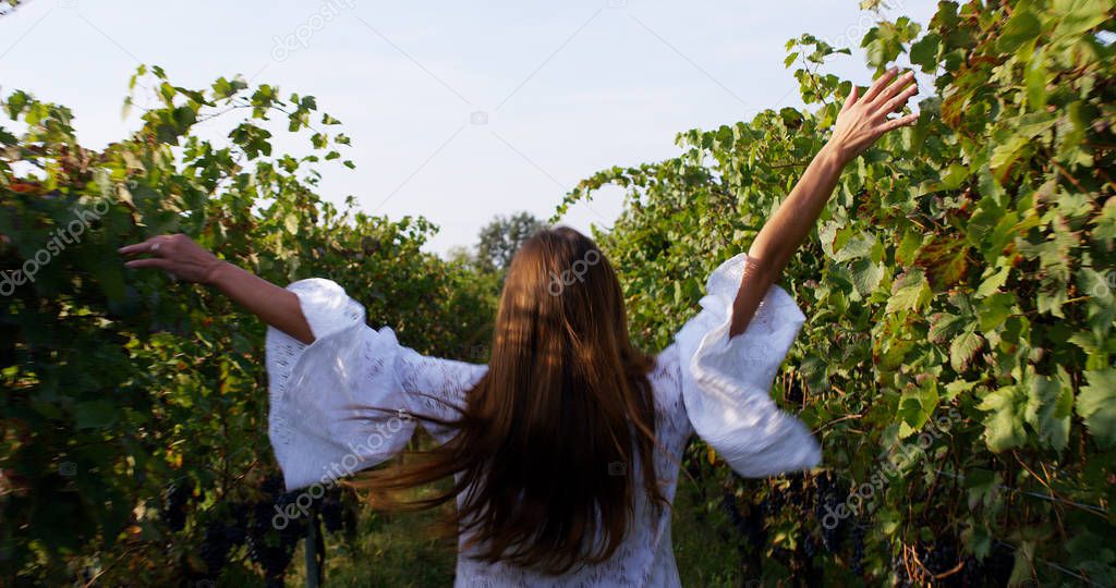 Slow motion of young caucasian brunette woman in white dress running and jumping of joy with raised arms between a vineyard rows and touching the plants of red grape on a sunshine in 4k (close up )