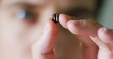 Bir kahve uzman adam bir kahve çekirdeği kavurma doku, renk, yüksek kaliteli yelpazesi görmek için denetler. İtalya, kalite, kahve ve çalışmaları için tutkusu detaylara dikkat kavramı ve aşk doğa