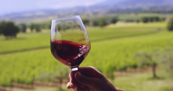 Sommelier en el viñedo verter vino tinto italiano en vidrio en cámara lenta —  Fotos de Stock