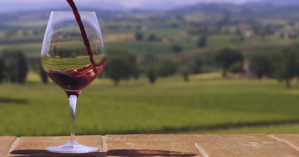 Сомелье в винограднике наливает итальянское красное вино в бокал в замедленной съемке — стоковое фото