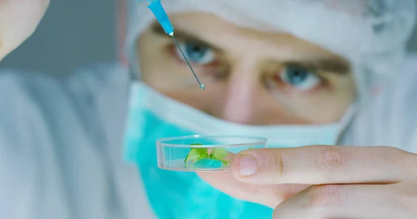 A scientist in a laboratory analyzes the soil and the plants inside to collect the plant DNA. Concept: analysis, dna, bio, microbiology, augmented reality, biochemistry, immersive technology — Stock Photo, Image