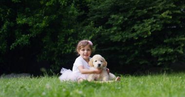 küçük kız küçük arkadaşı köpek yavrusu köpek golden retriever dostluk, köpekler ve insanlar arasında dostluk çim ve mutluluk kavramı üzerinde oturan öpüşme küçük dansçı olarak giyinmiş. bağlantı