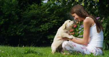 ihale anne çim güneşli bir günde bir tatlı yavru golden retriever güzel bir bahçe ile oynamak. köpek ve vitamin veya sağlıklı köpek kavramı için dostluk kavramı. mutluluk doğa hayvan