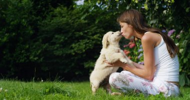 ihale anne çim güneşli bir günde bir tatlı yavru golden retriever güzel bir bahçe ile oynamak. köpek ve vitamin veya sağlıklı köpek kavramı için dostluk kavramı. mutluluk doğa hayvan