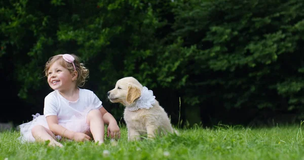 Uma menina pequena vestida como um pequeno dançarino beijando seu filhote de cachorro amigo golden retriever sentado em um gramado e conceito de felicidade de amizade, amizade entre cães e humanos. ligação — Fotografia de Stock