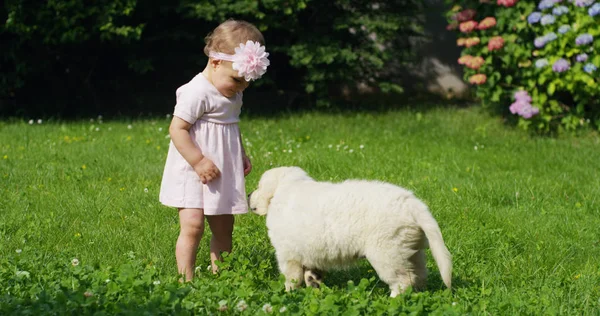 Tierna niña recién nacida tratando de hacer los primeros pasos ayudados desde un cachorro de golden retriever en un jardín en un día soleado vestido de rosa con una flor en la cabeza bonita expresión — Foto de Stock