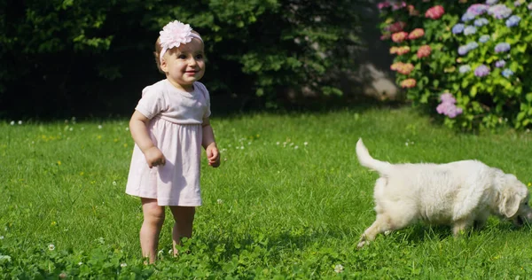 Tenra menina recém-nascida tentando fazer os primeiros passos ajudados a partir de um filhote de cachorro de golden retriever em um jardim em um dia ensolarado vestido de rosa com uma flor na cabeça expressão agradável — Fotografia de Stock