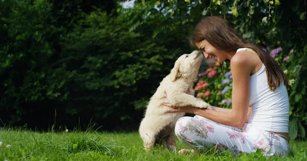 Anbud mamma leker med en söt valp golden retriever i en vacker trädgård på en solig dag på gräset. vänskap koncept för hund och vitaminer eller frisk hund koncept. lycka natur djur — Stockfoto