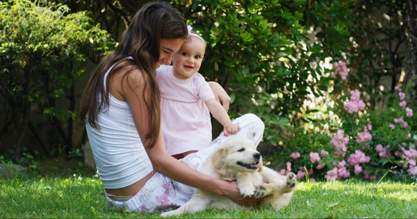 On a sunny spring day a little girl dressed as a ballerina plays with her mom and Golden Retriever puppy in the garden and everyone smiles like a happy family in slow motion