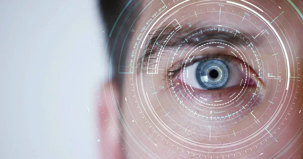 Blue eye macro diimplementasikan dengan realitas maya. visi futuristik realitas dan konsep teknologi cyber. Sistem Keamanan diterapkan pada teknologi. Konsep kontrol web dan dukungan remote . Stok Gambar