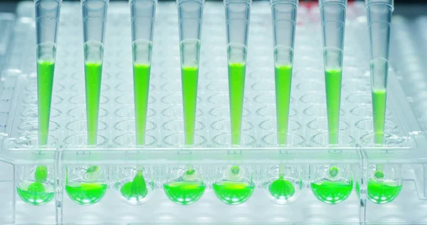 W laboratorium naukowiec z pipetą analizuje barwną ciecz w celu ekstrakcji DNA i cząsteczek w probówkach. Koncepcja: badania, biochemia, przyroda, medycyna farmaceutyczna — Zdjęcie stockowe
