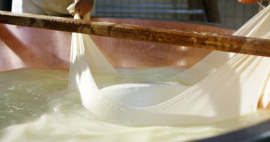 Süper ağır çekim, orta yaşlı İtalyan Parmesan peynir/kahvaltilari Reggiano işlemi çalışma Peynirci'ye (yakın)