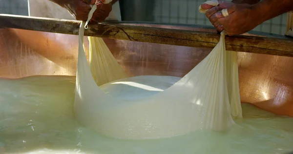 Gerakan super lambat dari pembuat keju paruh baya yang mengerjakan proses keju Parmesan Italia / Parmigiano Reggiano (close up ) — Stok Foto
