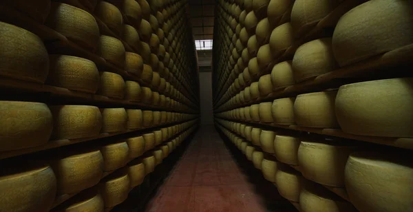 En parma en un almacén de queso Una carretilla elevadora acompaña a la cámara en un túnel de formas de queso parmesano —  Fotos de Stock