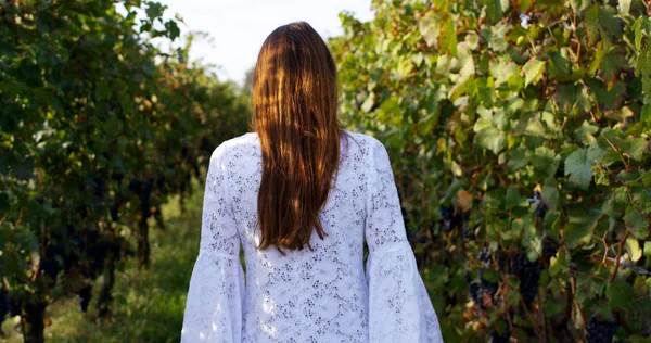 Lambat gerak muda perempuan berambut cokelat kaukasia dalam gaun putih berjalan dan melompat sukacita dengan mengangkat tangan antara kebun anggur dan menyentuh tanaman anggur merah pada sinar matahari di 4k (close up  ) — Stok Foto