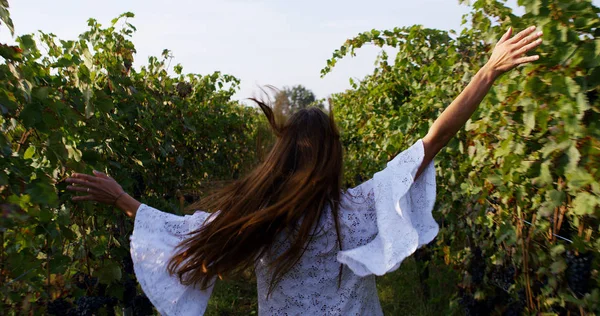 Movimiento lento de la joven morena caucásica en vestido blanco corriendo y saltando de alegría con los brazos levantados entre una hilera de viñedos y tocando las plantas de uva roja en un sol en 4k (de cerca  ) — Foto de Stock