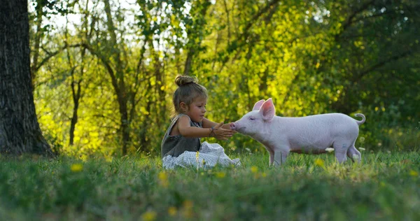 Menina acaricia e beija um porco no mundo verde. sustentabilidade e amor à natureza, respeito ao mundo e amor aos animais. conceito de vegan ou vegetariano. ligação ao mundo. cachorrinho — Fotografia de Stock