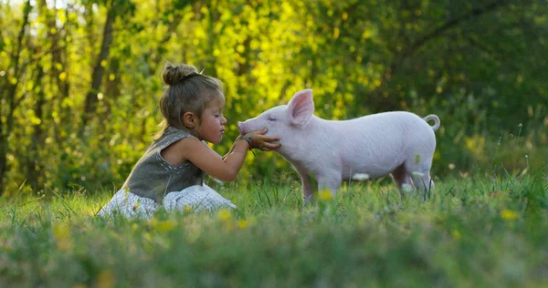 Girl caresses and kisses a pig in green world. sustainability and a love of nature, respect for the world and love for animals. concept of vegan or vegetarian. connection to the world. puppy — Stock Photo, Image