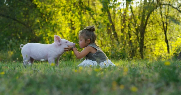 Girl caresses and kisses a pig in green world. sustainability and a love of nature, respect for the world and love for animals. concept of vegan or vegetarian. connection to the world. puppy — Stock Photo, Image