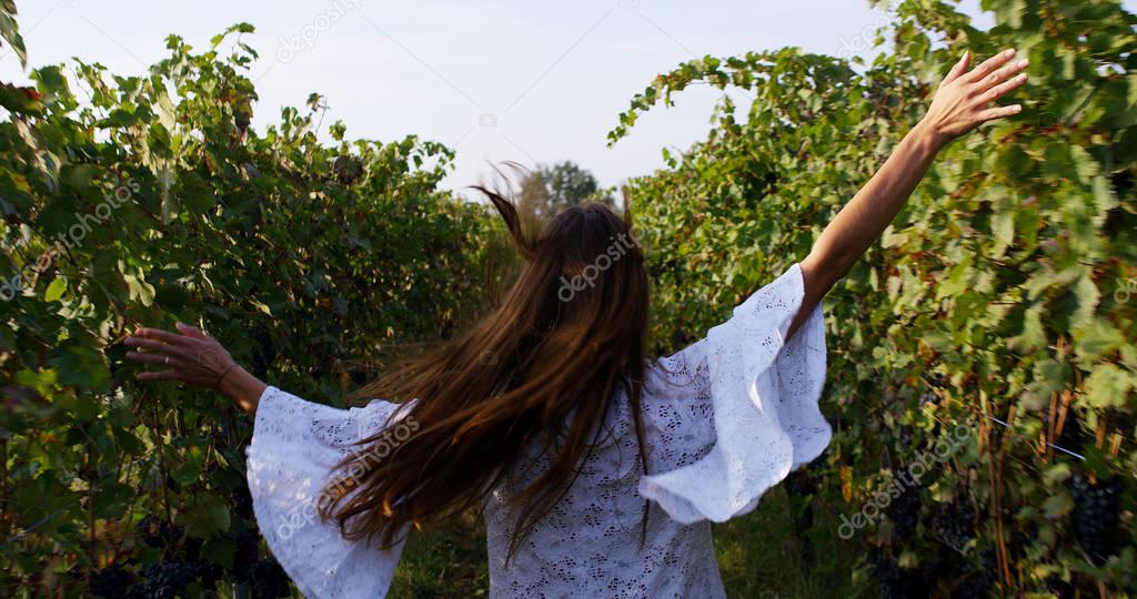 Slow motion of young caucasian brunette woman in white dress running and jumping of joy with raised arms between a vineyard rows and touching the plants of red grape on a sunshine in 4k (close up )