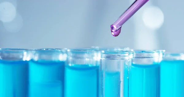 Em um laboratório, um cientista com uma pipeta analisa um líquido colorido para extrair o DNA e as moléculas nos tubos de ensaio. Conceito: pesquisa, bioquímica, natureza, medicina farmacêutica — Fotografia de Stock