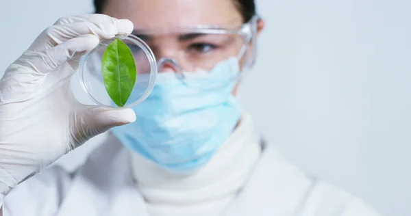 Hand van een vrouw ziekenhuis medisch deskundige toont het geneesmiddel moeten worden genomen door de patiënt in slow motion. — Stockfoto