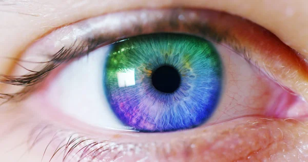 Blue eye macro diimplementasikan dengan realitas maya. visi futuristik realitas dan konsep teknologi cyber. Sistem Keamanan diterapkan pada teknologi. Konsep kontrol web dan dukungan remote . — Stok Foto