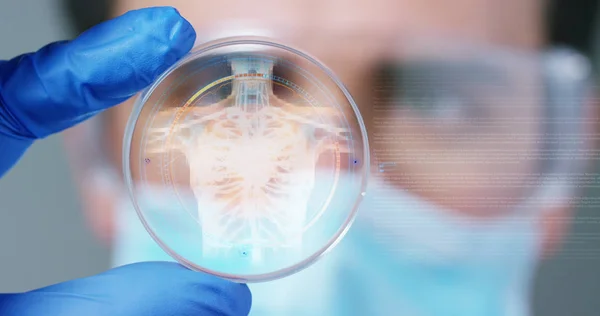 Un médecin, chirurgien, examine une plaque holographique numérique technologique représentée le corps du patient, les poumons cardiaques, les muscles, les os. Concept : Médecine futuriste, aide mondiale et avenir — Photo