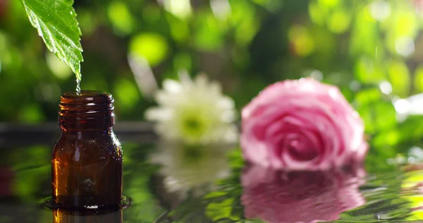 Mistura de óleos essenciais com gotas de água, aromas e aromas em aromaterapia para bem-estar e spa. conceito de beleza. óleo essencial perfumado. gotas de essência caem de uma folha na piscina no centro de bem-estar — Fotografia de Stock