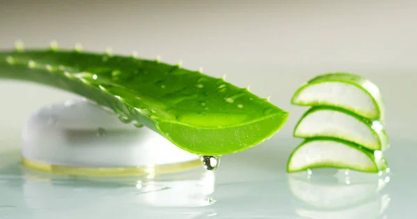 Composizione di aloe vera. Concetto di crema di bellezza derivata dall'Aloe, medicina naturale e cura per il ringiovanimento del corpo a base di acido ialuronico. Pelle per scottature e aloe vera. concetto di rinfrescante — Foto Stock