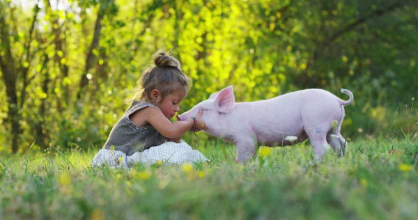 Menina acaricia e beija um porco no mundo verde. sustentabilidade e amor à natureza, respeito ao mundo e amor aos animais. conceito de vegan ou vegetariano. ligação ao mundo. cachorrinho — Fotografia de Stock