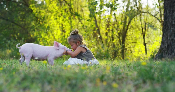 Fille caresse et embrasse un cochon dans le monde vert. la durabilité et l'amour de la nature, le respect du monde et l'amour des animaux. concept de végétalien ou végétarien. connexion avec le monde. chiot — Photo